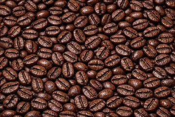 Abyssinia Roasted Coffee Beans