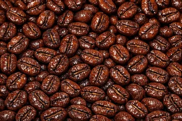 Gayo Honey Roasted Coffee Beans