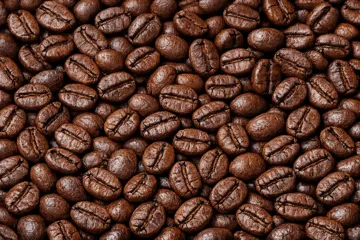 Gayo Natural Roasted Coffee Beans