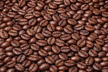 Kalosi Roasted Coffee Beans