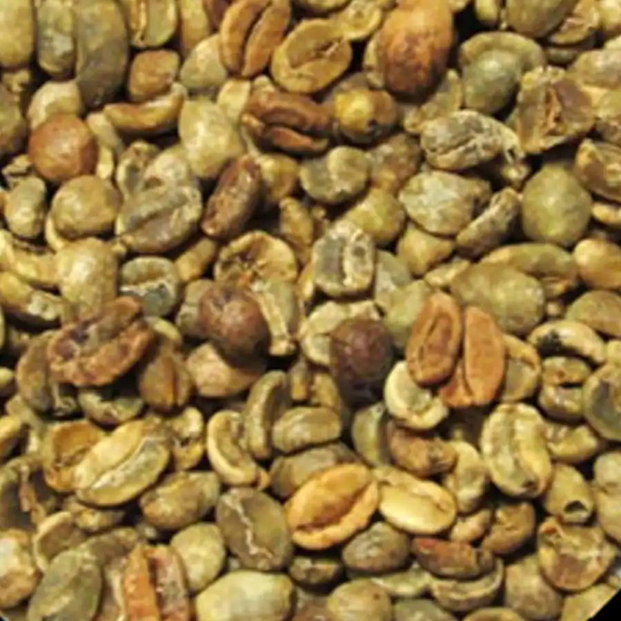Past Crop Green Coffee Beans
