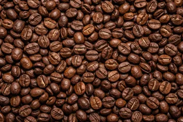 Past Crops Roasted Coffee Beans
