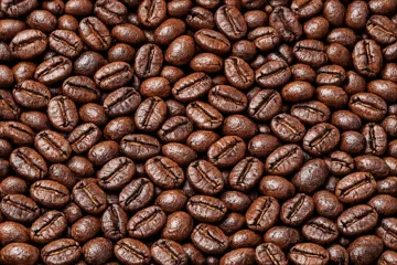 Sumatra Tiger Grade 3 Special Roasted Coffee Beans