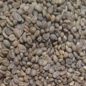 Tanah Karo Green Coffee Beans